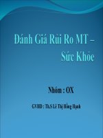 Đánh giá rủi ro môi trường sức khỏe docx