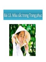 Bài 13. Màu sắc và trang phục pot