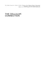 THE CELLULAR CONNECTION pdf