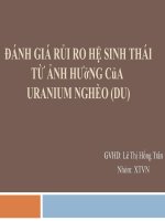 Đánh giá rủi ro hệ sinh thái từ ảnh hưởng của uranium docx