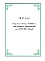 LUẬN VĂN: Nâng cao chất lượng CTVĐND của Đảng bộ tỉnh Cà Mau thời kỳ đẩy mạnh CNH, HĐH đất nước pot