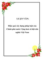 LUẬN VĂN: Hiệu quả xây dựng pháp luật của Chính phủ nước Cộng hoà xã hội chủ nghĩa Việt Nam docx