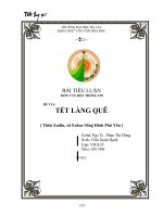 Tiểu luận 