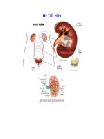 Hệ Tiết Niệu pptx