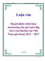 Luận văn: Hoạch đinh chiêń lược marketing cho goí cước Big Save cuả Beeline taị Viợ̀t Nam giai đoaṇ 2012 – 2017 pptx