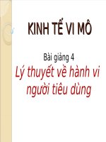 Kinh tế vi mô - Lý thuyết về hành vi người tiêu dùng docx