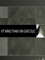 Kỹ năng tham vấn giáo dục pdf