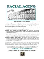 U-06 ADVANCED: FACES & FIGURES pdf