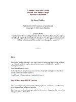 A Simple 5 Step Split Testing Process That Almost Always Increases Conversions By Jason Fladlien docx