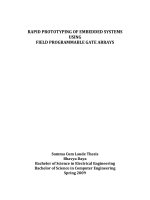 RAPID PROTOTYPING OF EMBEDDED SYSTEMS USING FIELD PROGRAMMABLE GATE ARRAYS potx