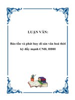LUẬN VĂN: Bảo tồn và phát huy di sản văn hoá thời kỳ đẩy mạnh CNH, HĐH pptx