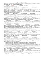 Kiểm tra este - lipit - cacbonhiđrat doc