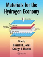 Materials for the Hydrogen Economy Edited by Russell H doc