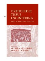 ORTHOPEDIC TISSUE ENGINEERING BASIC SCIENCE AND PRACTICE docx