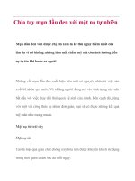 Chia tay mụn đầu đen với mặt nạ tự nhiên pot