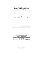 Fuel Cell Handbook(Seventh Edition)By EG&G Technical Services docx