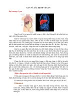 GAN VÀ CÁC BỆNH VỀ GAN docx