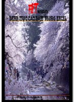 Các hàm cơ bản trong Excel potx