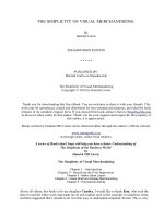 THE SIMPLICITY OF VISUAL MERCHANDIZING By Hamish Currie ppt