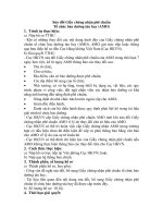 Sửa đổi Giấy chứng nhận phê chuẩn Tổ chức bảo dưỡng tàu bay (AMO) pot