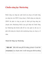 Chuẩn năng lực Marketing ppt