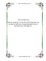 Báo cáo khoa học: Canh tác nương rẫy và vấn đề an ninh lương thực của các dân tộc miền núi: trường hợp nghiên cứu tại huyện Kỳ Sơn, tỉnh Nghệ An potx