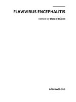FLAVIVIRUS ENCEPHALITIS pdf