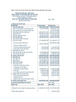 BÁO CÁO tóm tắt tài chính năm 2009 potx