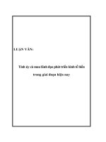 LUẬN VĂN: Tỉnh ủy cà mau lãnh đạo phát triển kinh tế biển trong giai đoạn hiện nay docx