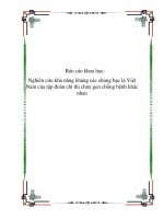 Báo cáo khoa học: Nghiên cứu khả năng kháng các chủng bạc lá Việt Nam của tập đoàn chỉ thị chứa gen chống bệnh khác nhau docx