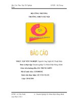Báo cáo thực tập tốt nghiệp LVT d3 docx