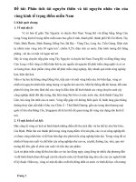 Báo cáo thực tập