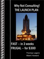 Why Not Consulting THE LAUNCH PLANFAST potx