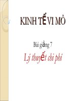 Kinh tế vi mô - Lý thuyết chi phí pdf