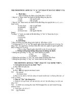 THE INDEFINITE ARTICLE “A” & “AN” pdf