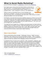 What Is Social Media Marketing Written by Rob Williams pdf