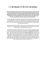 cap đồng trục potx