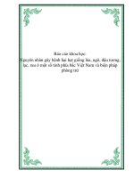 Báo cáo khoa học: Nguyên nhân gây bệnh hại hạt giống lúa, ngô, đậu tương, lạc, rau ở một số tỉnh phía bắc Việt Nam và biện pháp phòng trừ pptx