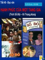 Hạnh phúc của một tang gia - Số đỏ
