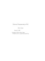 Extreme Programming in Perl ppt