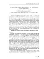 Báo cáo khoa học: LANTANA CAMARA L., thực vật có khả năng hấp thụ PB trong đất để giải ô nhiễm ppt