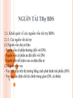 Nguồn tài trợ bất động sản pot