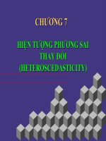 CHƯƠNG 7 HIỆN TƯỢNG PHƯƠNG SAI THAY ĐỔI (HETEROSCEDASTICITY) docx