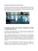 Diving Into the Deep End of the Internal Talent Pool doc