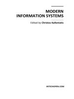 MODERN   INFORMATION SYSTEMS docx