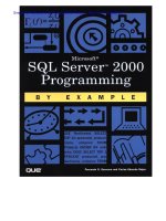 Microsoft SQL Server 2000 Programming by Example potx