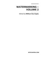 WATERMARKING – VOLUME 2 potx