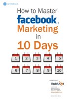How to master facebook marketing in 10 days potx