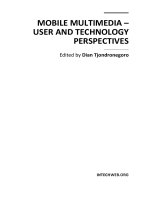 MOBILE MULTIMEDIA – USER AND TECHNOLOGY PERSPECTIVES potx