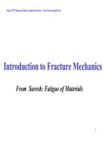 Introduction to Fracture Mechanics pdf